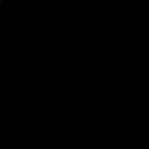 Meet your Posher, Ludmila